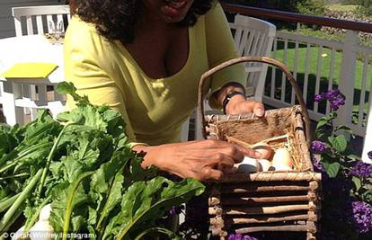 'Kokošima dobro ide': Oprah se hvali svojim domaćim jajima 