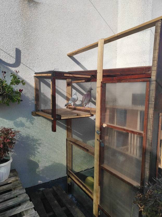 FOTO Zoran je na krovu zgrade u Zagrebu napravio zelenu oazu: 'Tu sadimo biljke, družimo se...'