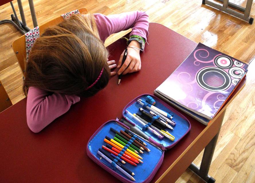 Potvrdilo istraživanje: Hrvatski osnovnoškolci sve su bolji u matematici i prirodoslovlju