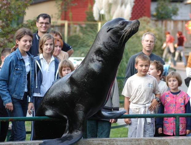 Zagreb: Životinje u maksimirskom Zoološkom vrtu