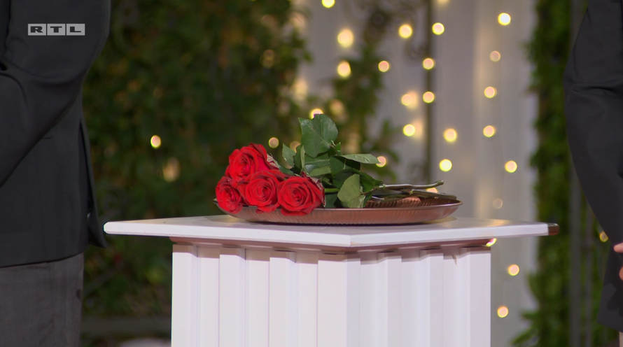 Večeras slijedi posljednja ceremonija ruža: Tko ide u finale 'Gospodina Savršenog'?