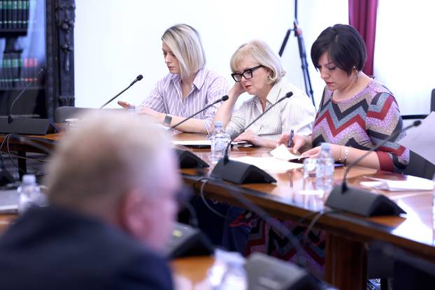 Zagreb: Održana 1. sjednica Odbora za ljudska prava i prava nacionalnih manjina