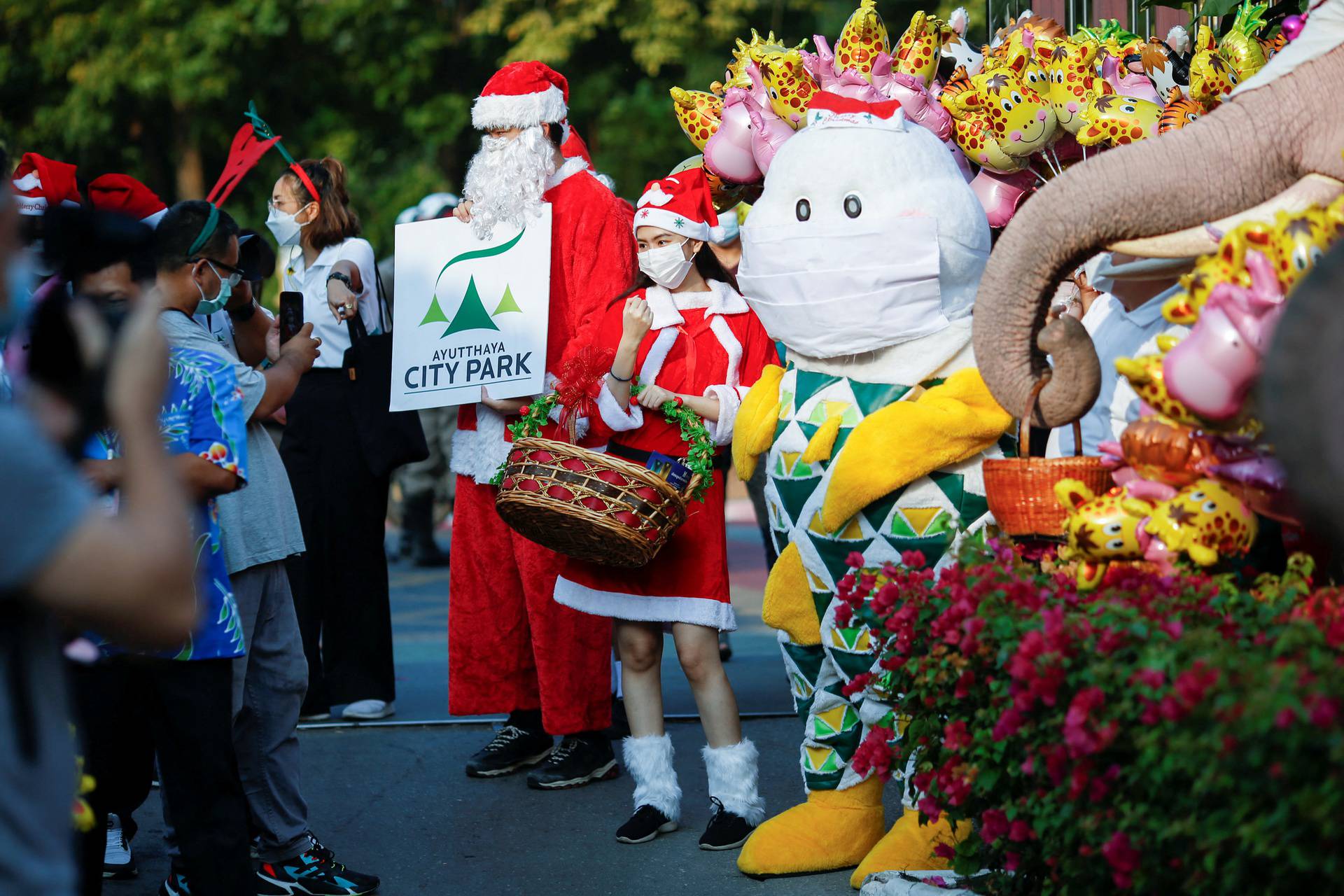 Elephants in Santa Claus costumes vist to a school