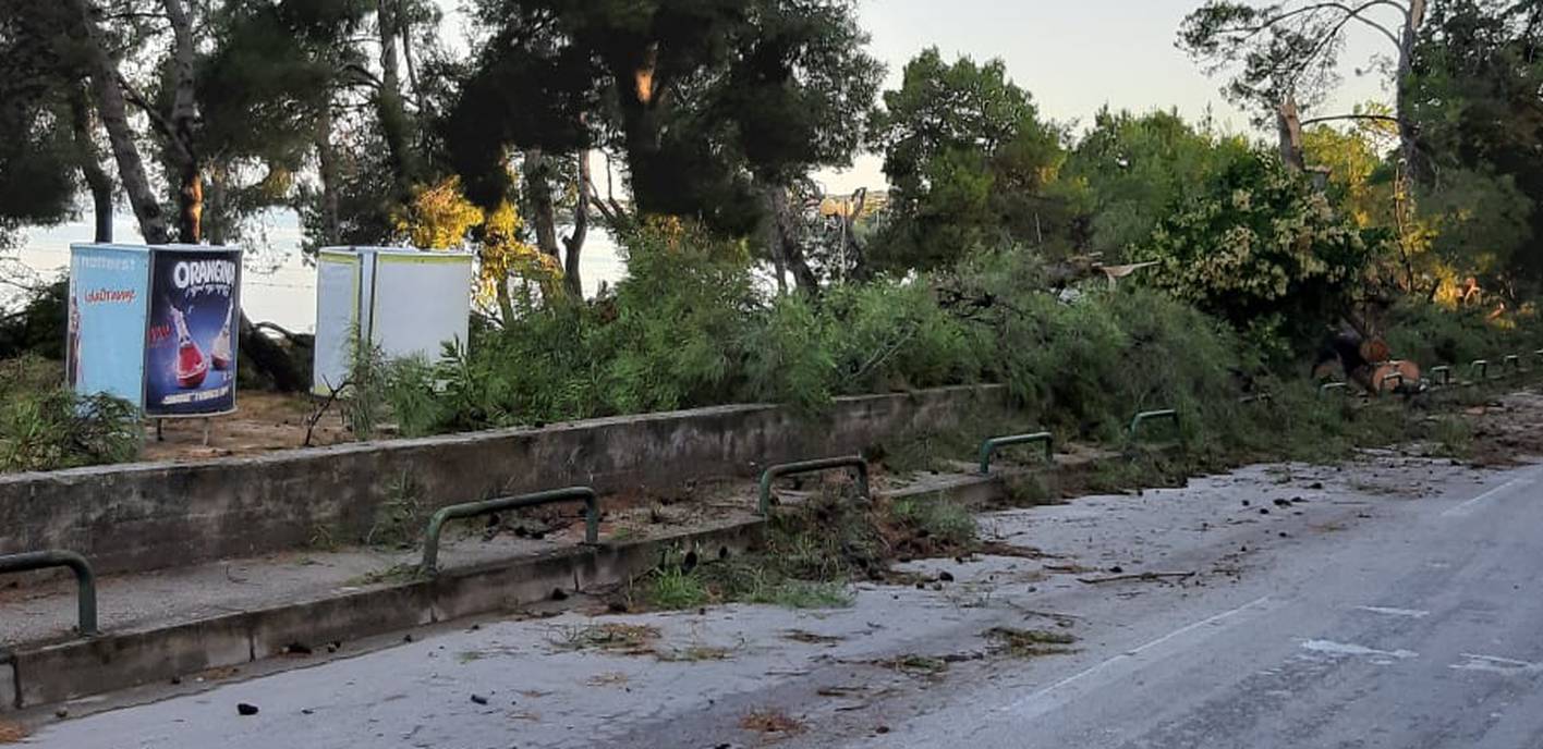 Oluja poharala Zadar: Letjela stabla, nasukalo se 20 brodova