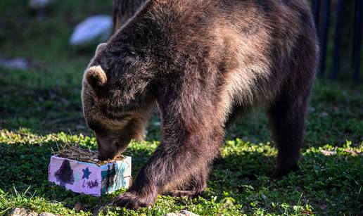 VIDEO Najmlađi pripremili preslatka iznenađenja za životinje zagrebačkog ZOO-a