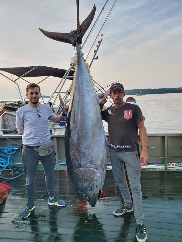 Kod Rovinja su ulovili morsku grdosiju, tunu od čak 250 kg!