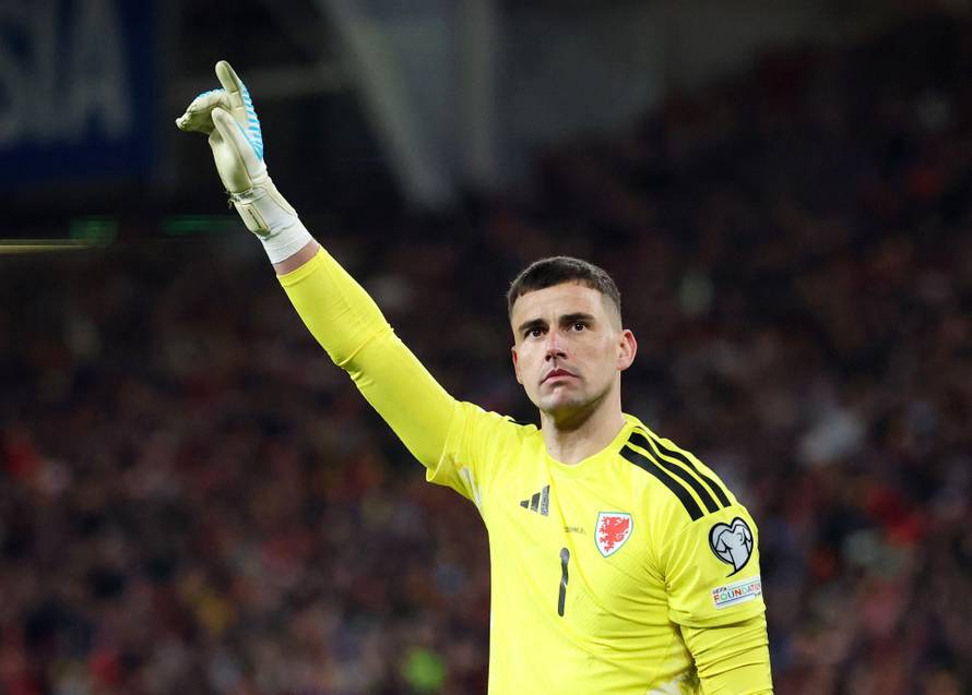 FIFA World Cup - UEFA Qualifiers - Semi Final - Wales v Bosnia and Herzegovina