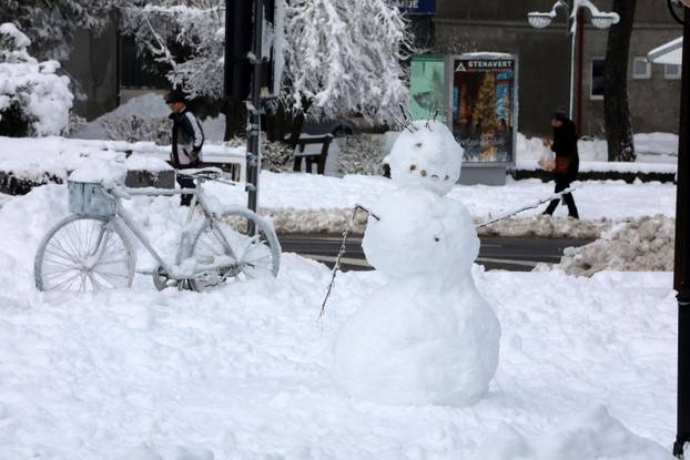 Delnice: Mnogobrojni izletnici uživaju u snijegu u Gorskom kotaru.