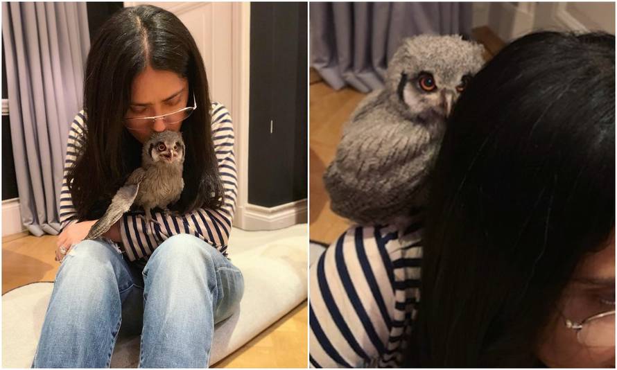 Udomila sovu: Salma Hayek se pohvalila novim članom obitelji