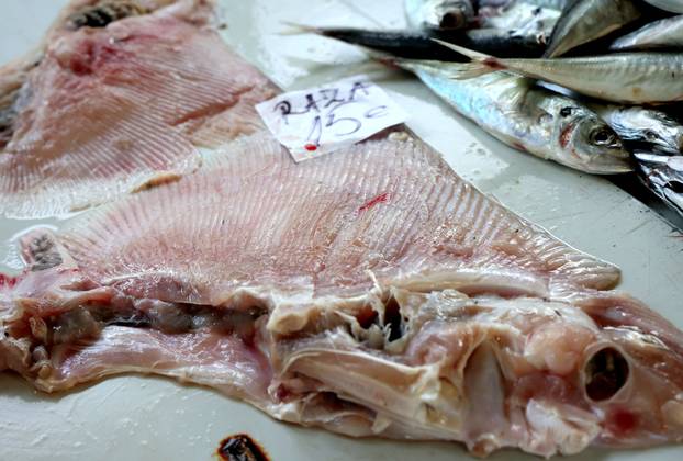 Šibenik: Ponuda na šibenskoj ribarnici