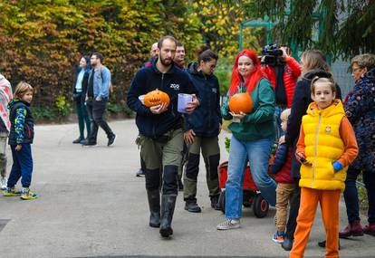 FOTO Životinje u zagrebačkom Zoološkom vrtu dobile bundeve