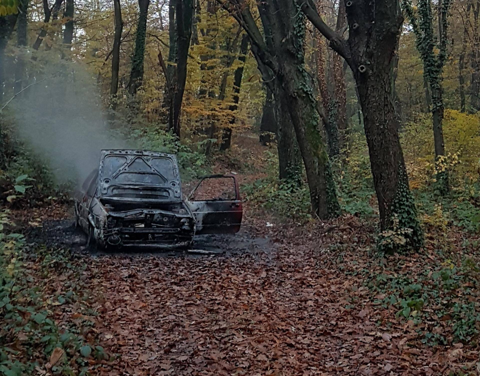 Piroman i lopov: Krade Golfove pa ih onda pali na Črnomercu...