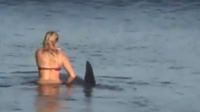 Ralje SOS: Surferica u Malibuu rukom navodila morskog psa...