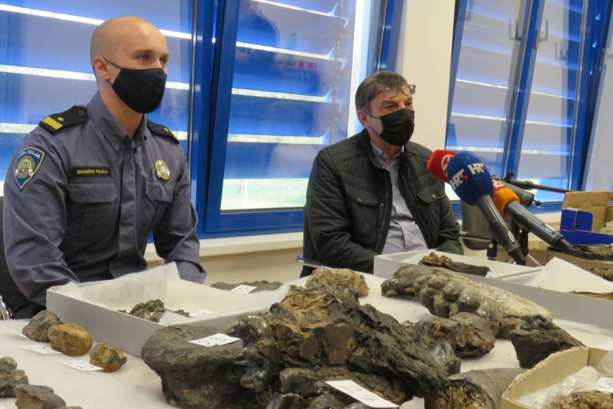 Kod Gradiške uhvatili muškarca s vrijednim fosilima praslona: 'Ovo vidim prvi put u životu'