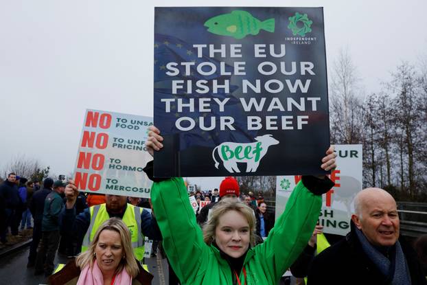 Irish farmers protest against Mercosur trade deal, in Athlone