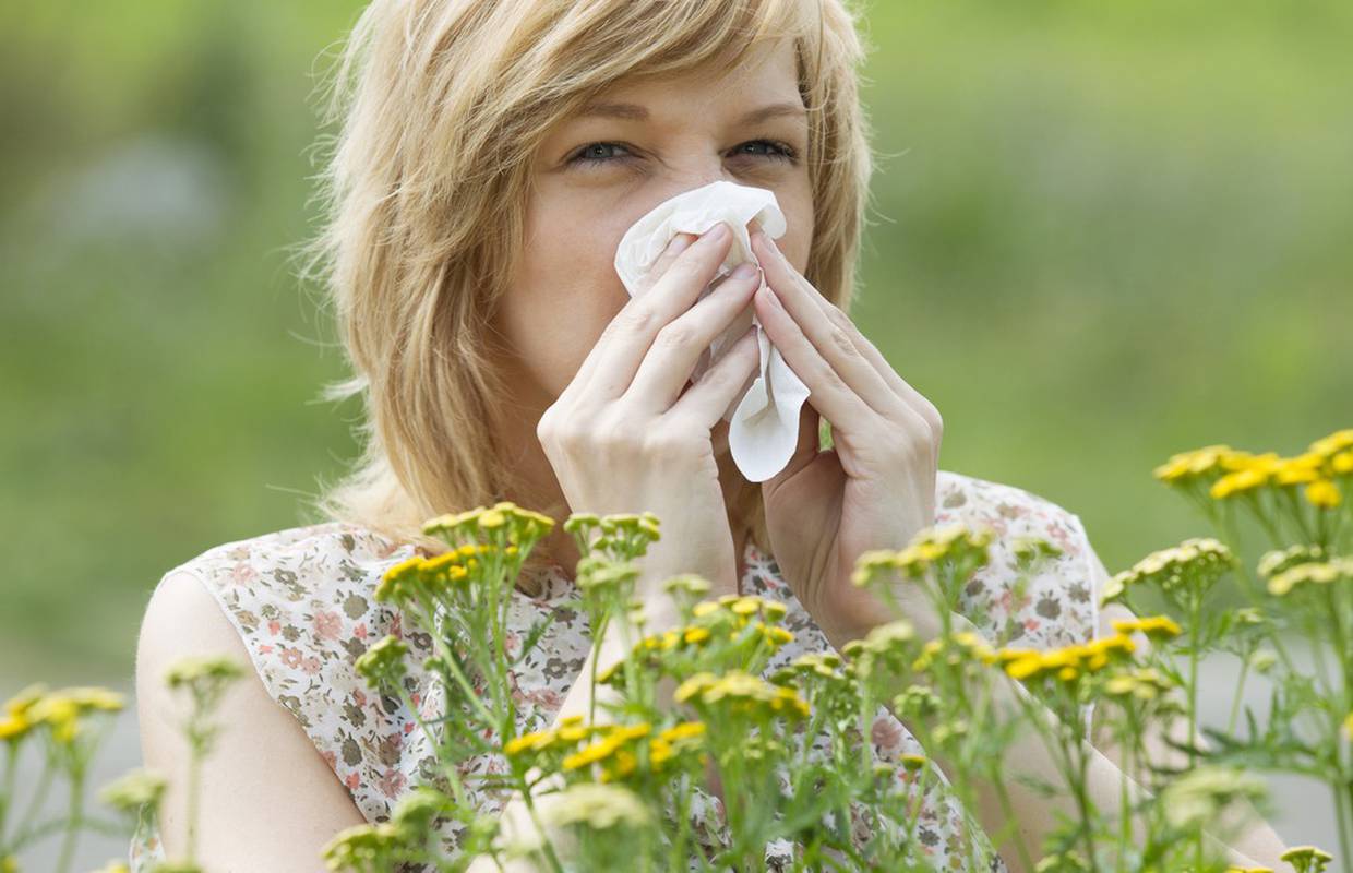 Stižu alergije: Pelud već hara, pomažu kopriva, sljez, kamilica