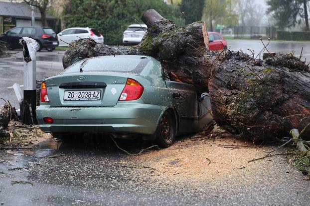 Zagreb: Nevrijeme srušilo stablo koje  je palo na automobil 