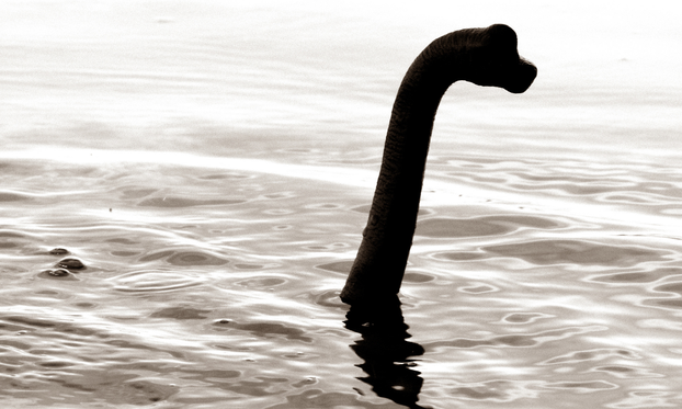 JEZA U Ohiju osmero ljudi kaže da je srelo Bigfoota! A sjećate se Nessie i Yetija? Evo 'gdje su'