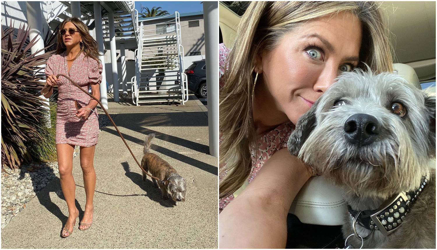 Aniston prošetala psa u kratkoj haljini: 'Koje dobre noge imaš'