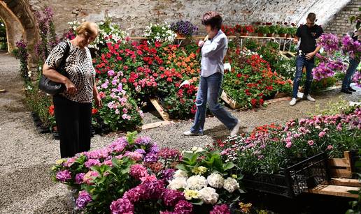FOTO Cvjetni spektakl u Slavonskom Brodu: Florafest okupio vi&scaron;e od 50 izlaga&ccaron;a