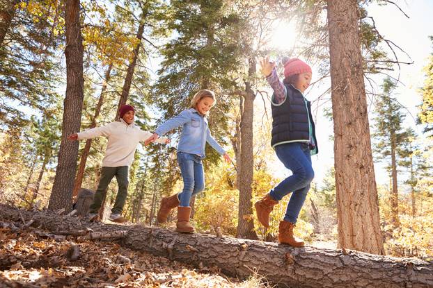 Children,Having,Fun,And,Balancing,On,Tree,In,Fall,Woodland