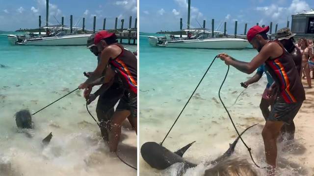 Bizarna snimka: Nick Kyrgios je 'prošetao' morskog psa na uzici