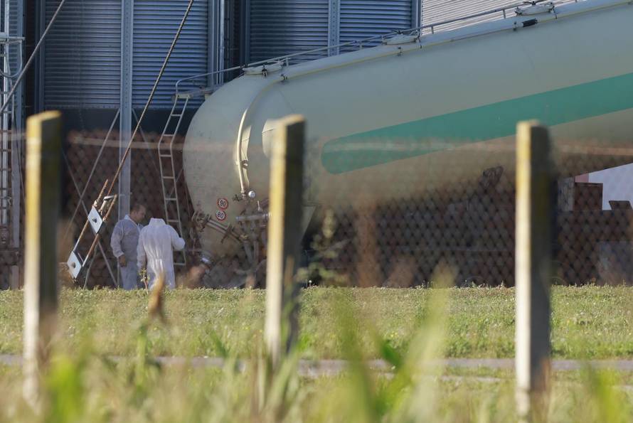 Sokolovac: Kreće eutanazija svinja, uvode se novi sigurnosni protokoli