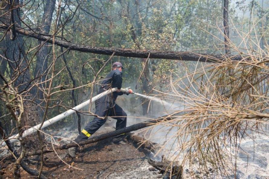 Grgo Jelavic/PIXSELL 