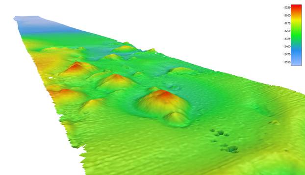 An image of the ocean floor is seen in this graphic received via Henry Gilliver of the Nippon Foundation - GEBCO Seabed 2030 Project, in London