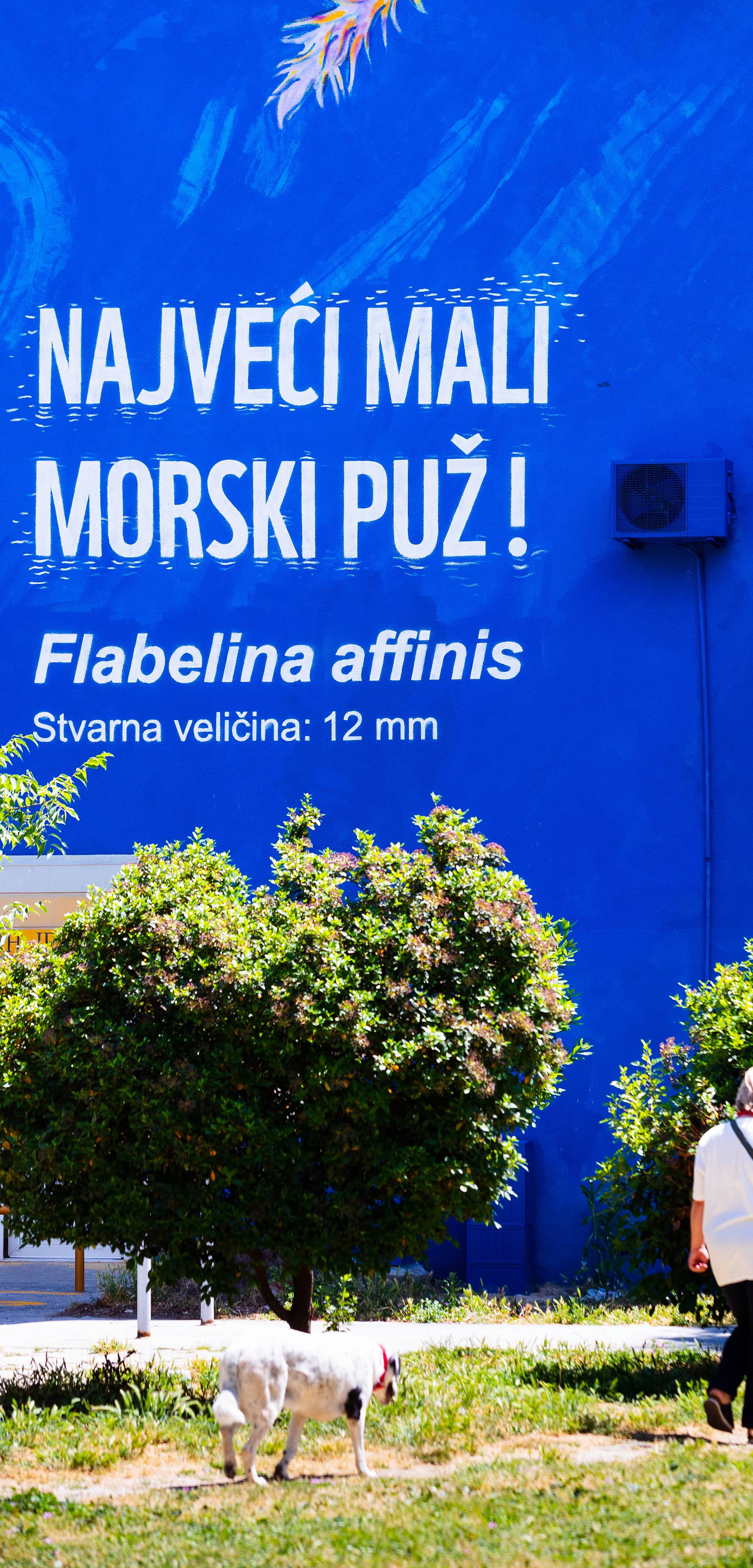Split: Završen je mural morskog puža u Šimićevoj ulici na Blatinama