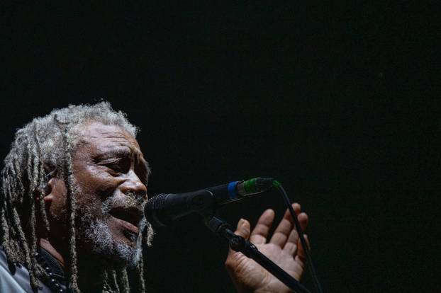 Zagreb: Massive Attack nastupio je na zadnjem danu 17. INMusic festivala