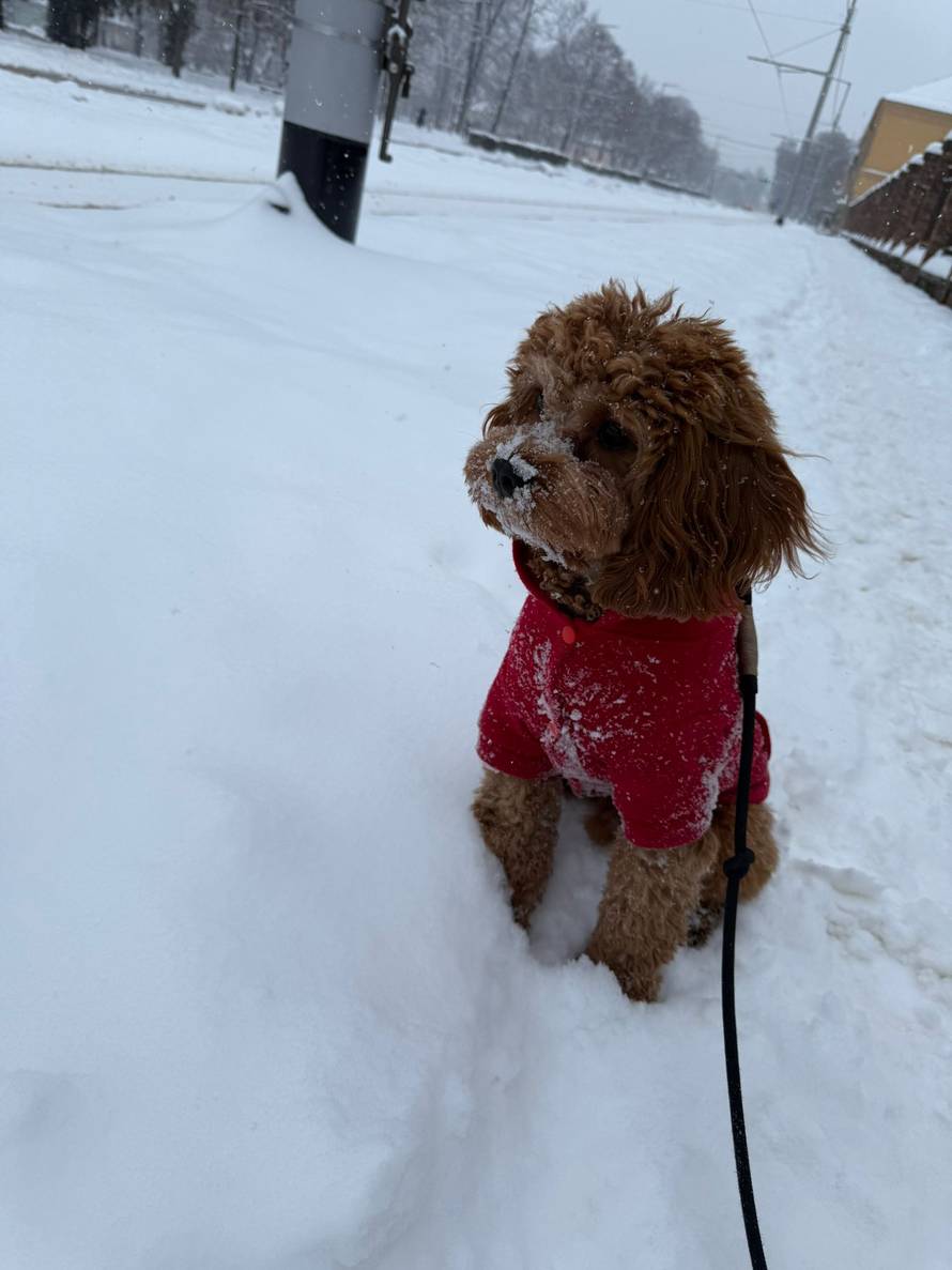 Općinska komunalka sama 'izlopatala' snijeg sa staze: 'Nema nikakve drame u tome'