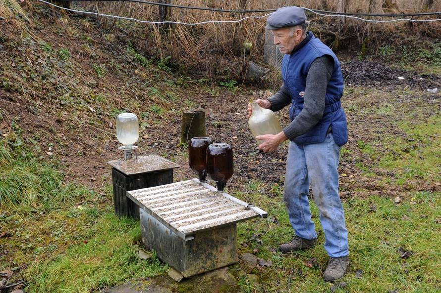 Pčele u veš-mašini: Slavonski pčelar radi jedinstvene košnice