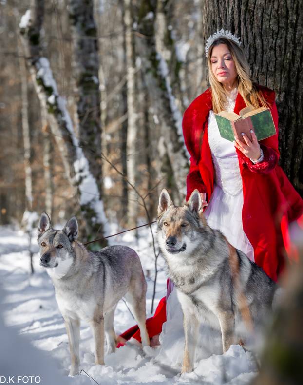 GALERIJA Nastali su od vukova, rođaci su Nazgula s Olimpijskih igara i žive kraj Velike Gorice!