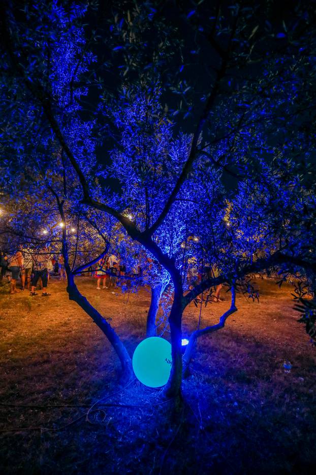 Fažana: Riva pretvorena u galeriju umjetničkih instalacija posvećenih plavetnilu mora