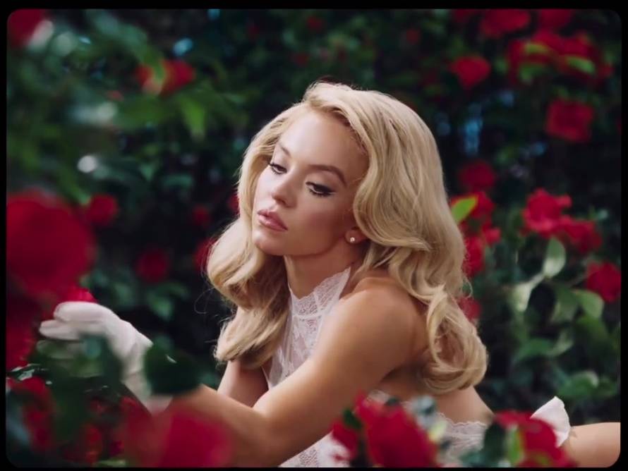 ANKETA Koja vam se više sviđa, mlada Kim Novak ili Sydney?