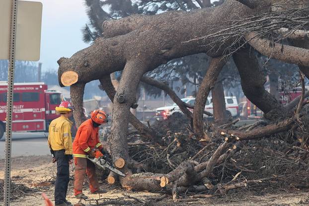 100 FOTOGRAFIJA UŽASA Ovo su vatrogasci snimili u paklu LA-a!