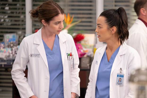 New season of the TV series 'Grey's Anatomy'