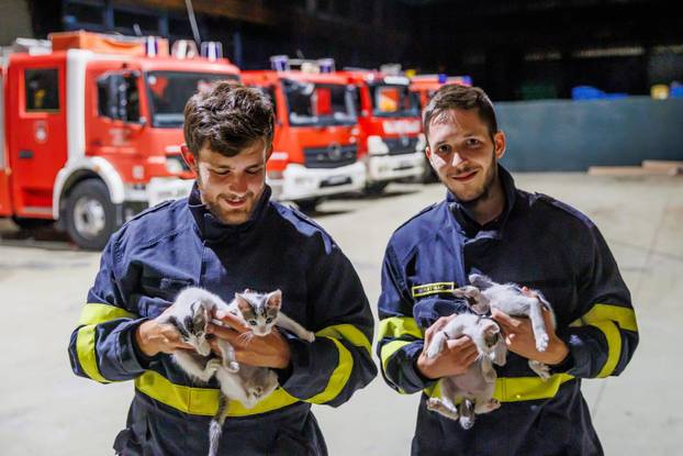 Vrgorac: Vatrogasci spasili 4 mačiča iz šahta gdje su ih pronašli ostavljene