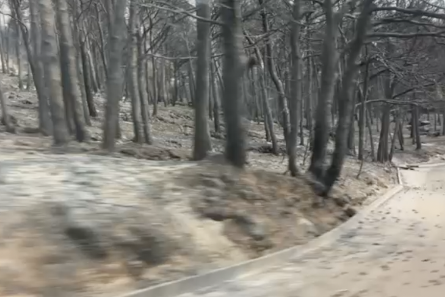Posljedice po&zcaron;ara u Omi&scaron;u