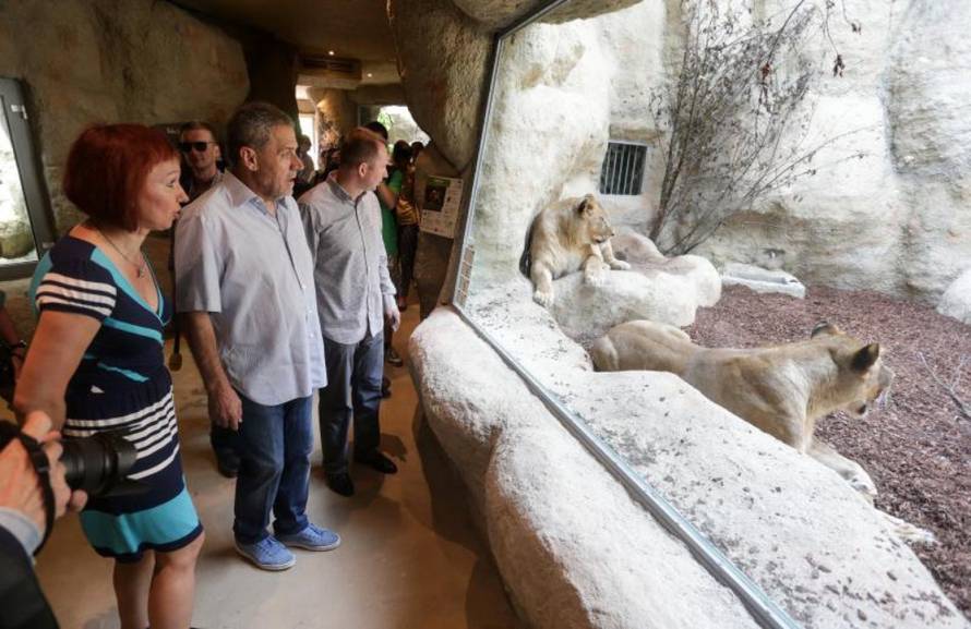 Petar Glebov / PIXSELL