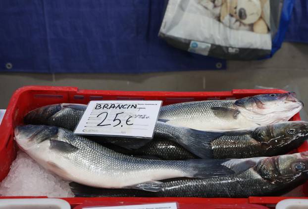 Šibenik: Ponuda ribe u šibenskoj ribarnici