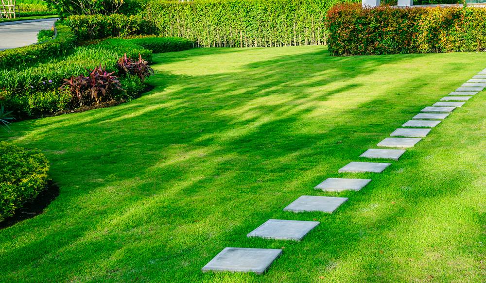 White,Walkway,Sheet,In,The,Garden,,Green,Grass,With,Cement