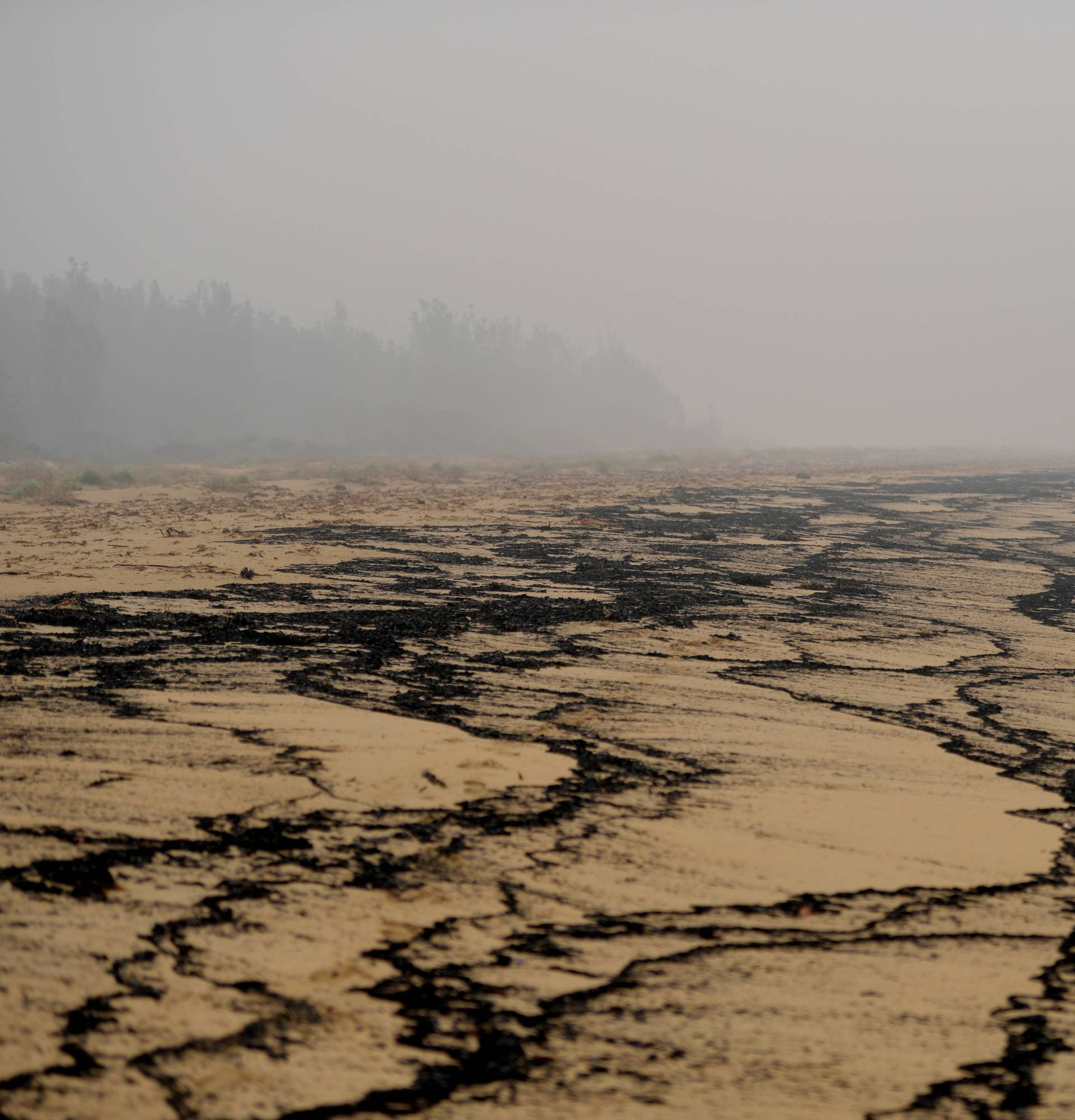 Bushfires in Eden, Australia