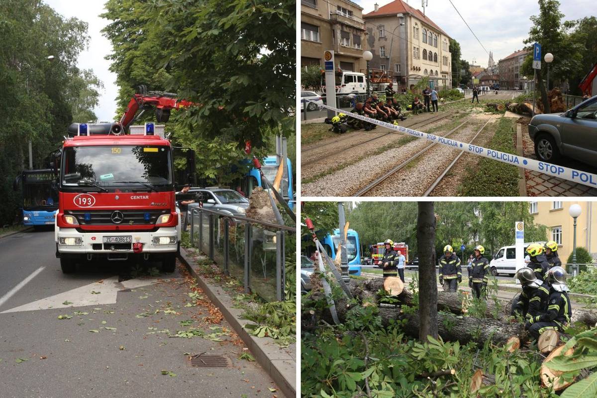Nesreća u centru Zagreba: 'Palo je stablo i ozlijedilo jednu ženu'