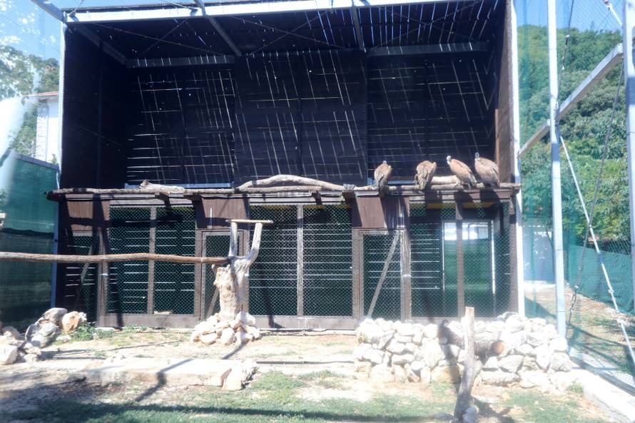 Na Cresu je svečano otvorena novouređena “bolnica” za supove