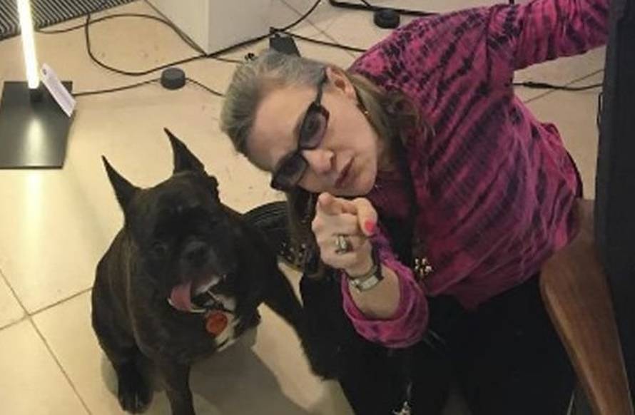 Sila više nije s njim: Kći Billie odrekla se psa Carrie Fisher