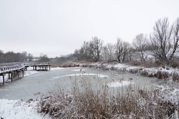 Kopački rit: Zimska idila u Baranji 