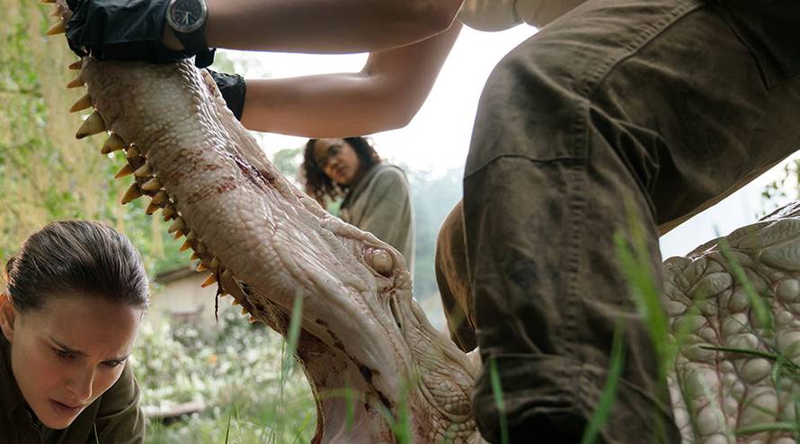 Jedanaest ekspedicija je ušlo u Zonu X, nitko se nije vratio...