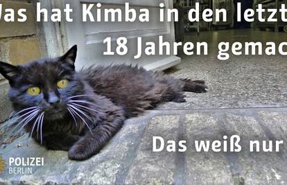Mačak Kimba se vratio svojem vlasniku nakon čak 18 godina